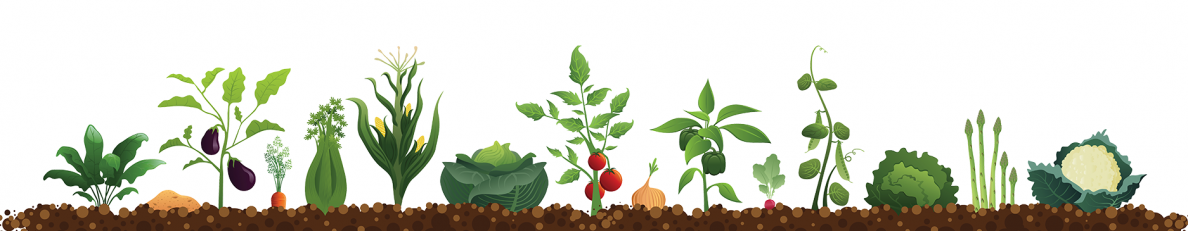 2025 Community Garden